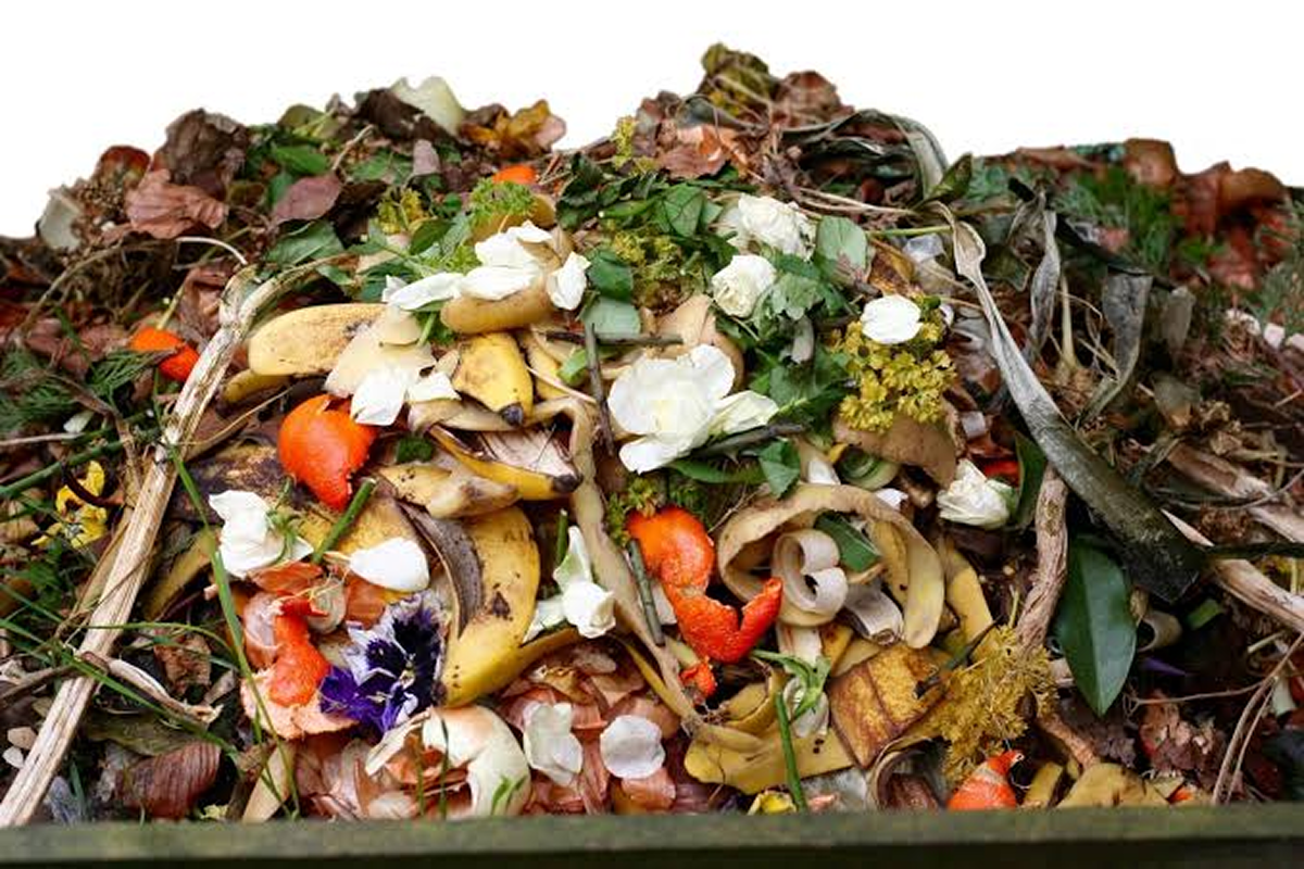 La collecte séparée des déchets végétaux et de jardin deviendra obligatoire partout